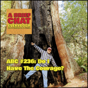 A Brief Chat #236: Do I Have The Courage?